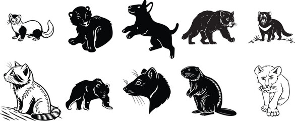 Obraz premium Wild carnivore silhouette vector set. Ferret, bear, wolf, wolverine and big cat collection. Forest predator icons isolated for wildlife logo, tattoo and nature branding.