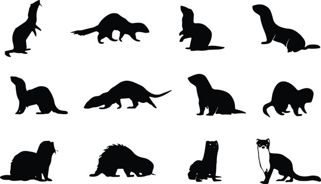 Ferret silhouette vector mega set. Weasel and mink style mammals in different poses. Wild carnivore icons isolated for wildlife logo, nature branding and tattoo design.