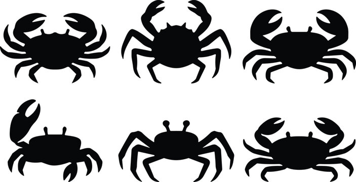 Crab silhouette icon set. Black sea crab collection in flat vector style. Marine crustacean shapes isolated for seafood branding, logo design and coastal themes.