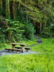 A rustic wooden picnic table and benches sit on a gravel patch beside a winding path. Lush green grass leads into a dense, verdant forest on a bright day.