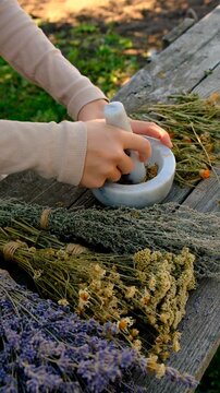 Woman with dried medicinal herbs. Selective focus.