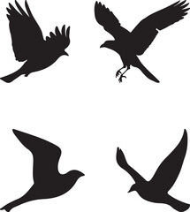 Obraz premium silhouettes of birds