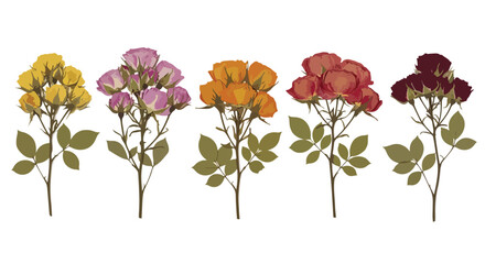 Set of 5 Dried Rose Sprigs in Yellow, Pink, Orange, Red, and Burgundy with Leaves