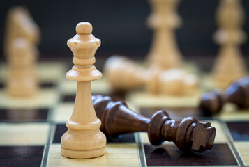 The chess game pieces on a chess board