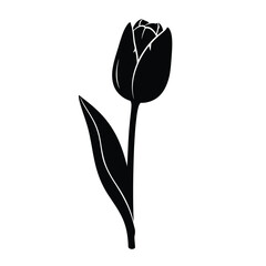A black tulip illustration in a simple style with leaves