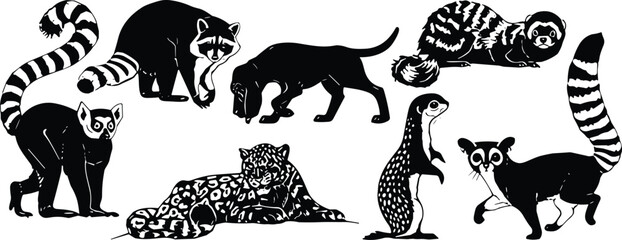 Exotic mammal silhouette vector set. Raccoon, lemur, meerkat, panther and wild cat collection. Forest wildlife animal icons isolated for logo design and nature branding. © SILHOUETTE-QUEEN