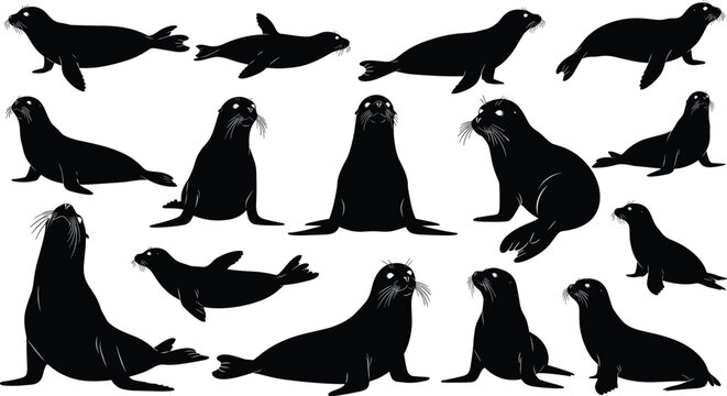 Black Seal and Sea Lion Silhouettes Set, Collection of Flat Marine Animal Icons, Vector Illustrations of Swimming and Resting Pinnipeds,