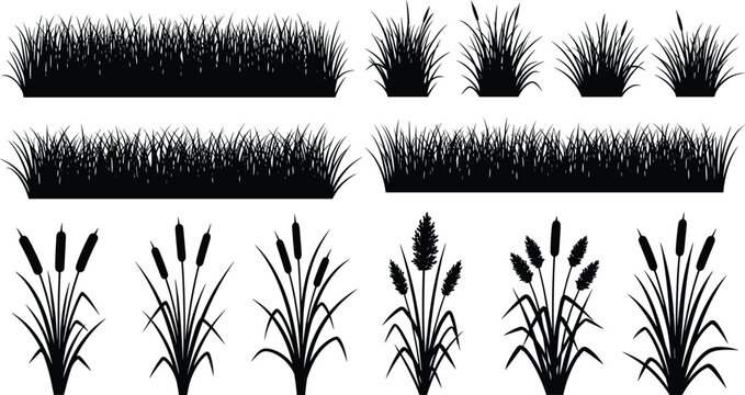 Black Silhouette of Marsh Grass and Bulrushes Set, Vector Illustration of Wetland Plants and Reeds for Nature Pond and Riverbank,