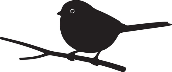  Long-tailed Tit in silhouette on white background. © Faisal