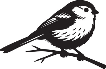 Long-tailed Tit in silhouette on white background. © Faisal