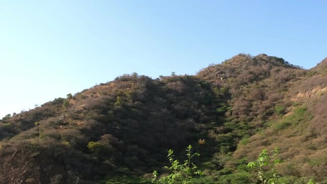 Scenic view of the rugged Aravalli mountain range covered in dry scrub vegetation under a clear sky