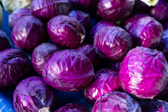 Pile of Fresh Red Cabbages at farmer's market