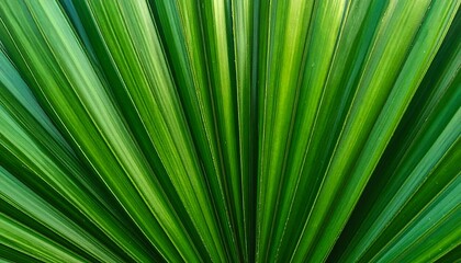 Obraz premium Striking Green Leaves Radiating Outward in a Natural Pattern.