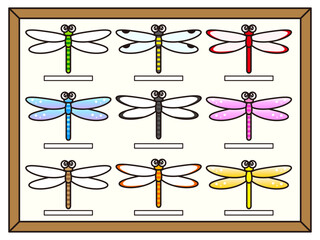 トンボの標本のイラスト素材 © kiko