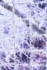 Haareis an einem Drahtzaun nach eisiger Nacht