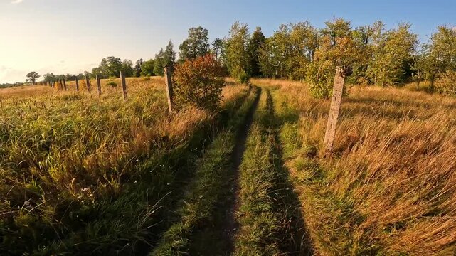 POV cycling on a cross-country rough terrain through the fields