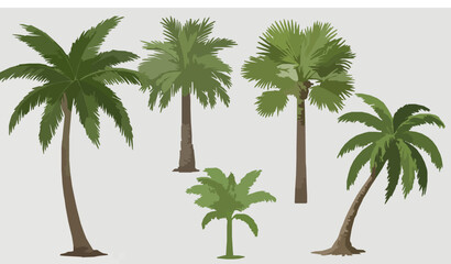 Palm trees collection transparent background vector set