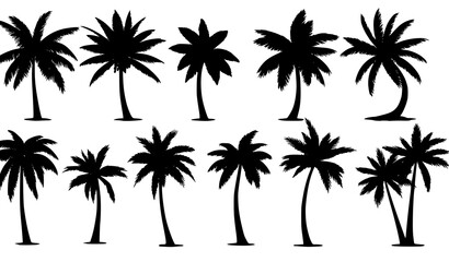 Obraz premium Tropical palm tree set isolated PNG vector illustration