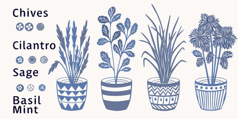Illustration of chives cilantro sage basil and mint in pots © Hridoy