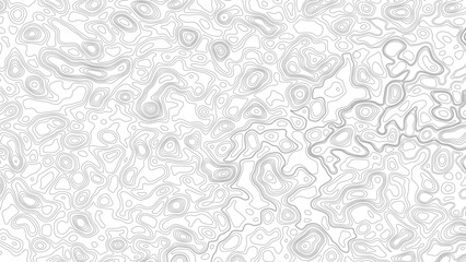 Topography background. Vector banner. Topography map background. Vector geographic contour map. Background of the topographic map. Topographic map lines, contour background.  © Mst