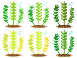 マツモの水草イラスト素材セット