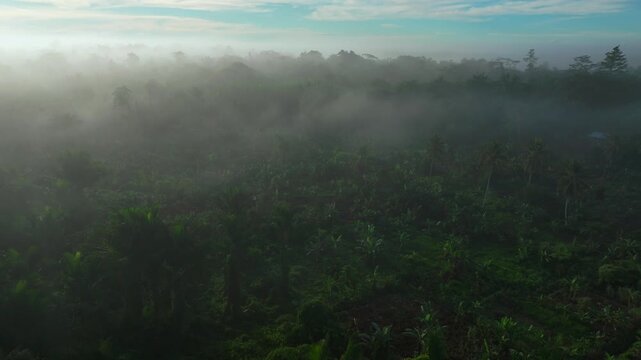 Remote bush jungle Kapuna Hospital Baimuru Delta Gulf Province Papua New Guinea PNG Papua Niugini aerial drone morning fog Karurua Ara'ava Village Wame River costal swamps wetlands forward motion