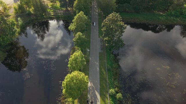 Drone video captures a serene park pathway lined with trees and bordered by reflective ponds, revealing a picturesque landscape from above. Sunlight casts soft shadows across the path.