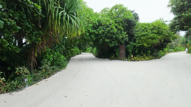 POV shot moving forward on a sandy island path taking the right fork surrounded by lush green palm trees and bushes in the Maldives