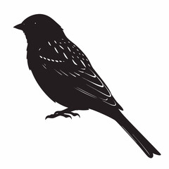 Obraz premium Silhouette of a small bird with detailed feathers on its wings and tail