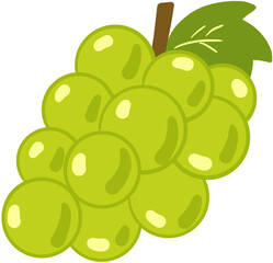 vector illustration of an grape