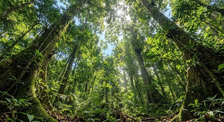 Fototapeta premium Low angle view of dense tropical rainforest with tall trees, lush green canopy, sunlight breaking through leaves, nature and environment concept