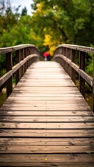 Wooden Bridge Path Through Lush Green Forest.