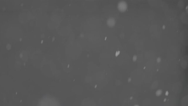 Slow motion falling snow particles on background, cinematic winter atmosphere with dense blizzard effect, swirling flakes, bokeh for overlays. ProRes 422, 10 bit ungraded C-LOG2, Slow motion video.