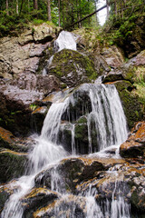 Kleiner Wasserfall im Urwald des Nationalparks Bayerischer Wald, Bayern, Deutschland
