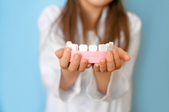 A model of a human jaw with teeth in the hands of a child. Oral hygiene and dental health care from birth. World Dentist's Day