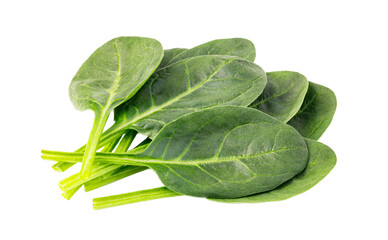 Fresh baby spinach leaves showing healthy food concept