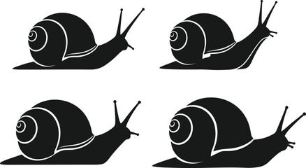Snail silhouette vector illustration, black and white artwork, spiral shell design, mollusk drawing concept, nature pattern artwork, decorative animal icon © Rahena ARAFAT