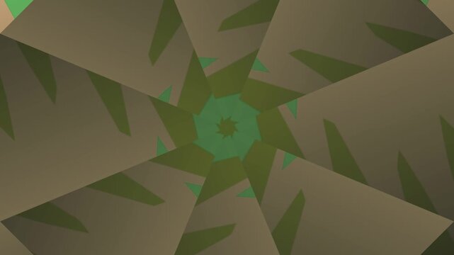 Aerial view of a geometric pattern featuring shapes and leaves in a symmetrical design