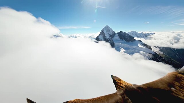 Majestic fpv drone chasing golden eagle soaring over snowy mountain peak above cloud showing incredible wild bird flight action majestic alpine landscape and extreme outdoor nature