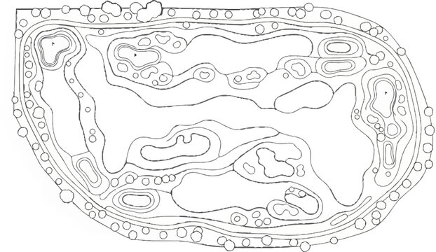 A black and white drawing outlines a golf course with winding fairways, bunkers, and greens