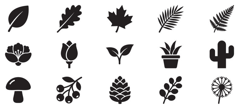 Botanical plant nature elements collection featuring various leaves, flowers, and natural flora silhouettes for design projects.