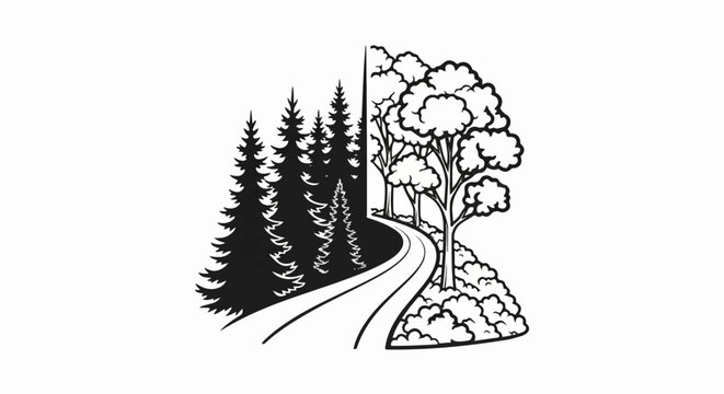 A winding road splits a dark evergreen forest from a lighter deciduous one