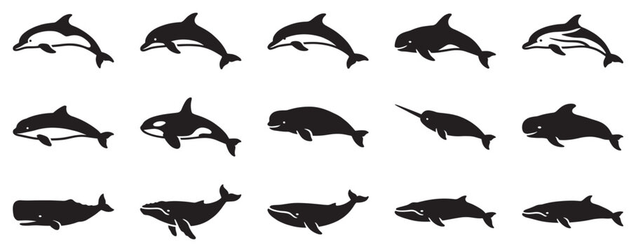 Marine mammals vector icons collection showcasing diverse cetacean species in elegant black silhouettes for design projects.