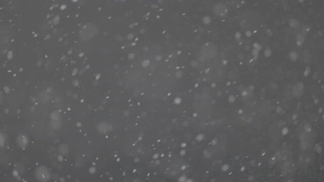 Slow motion falling snow particles on background, cinematic winter atmosphere with dense blizzard effect, swirling flakes, bokeh for overlays. ProRes 422, 10 bit ungraded C-LOG2, Slow motion video.