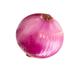 Single fresh unpeeled red or purple onion bulb isolated with clipping path in png file format