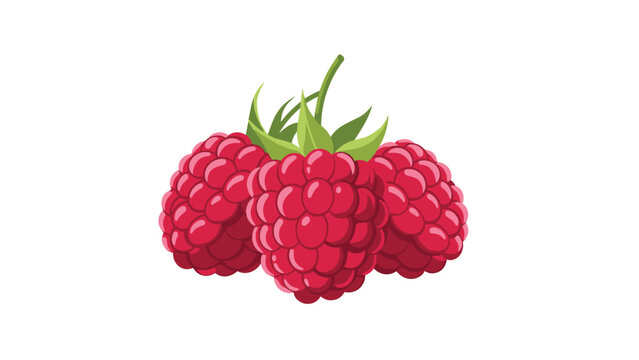 Cluster of three fresh red raspberries with green leaves representing healthy organic fruit and natural forest food.