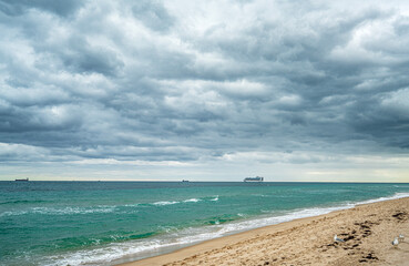 Fototapeta premium The scenic views of the Las Olas beach and the palm trees in Fort Lauderdale, Florida, US. 
