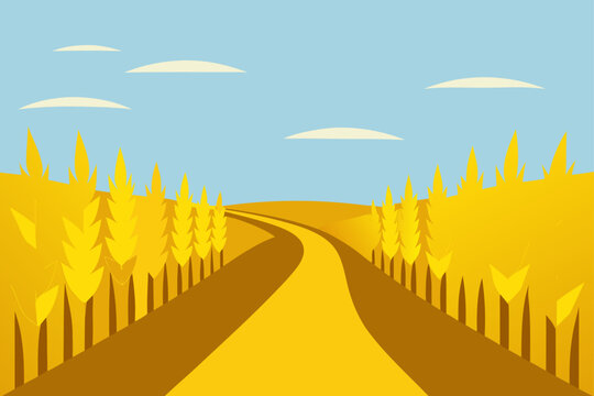 Vector illustration of a yellow wheat field road