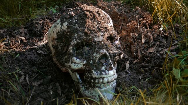 A human skull on the ground, with muddy dirt, worms and bugs. Grizzly death crime scene corpse.
