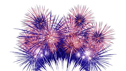 Fototapeta premium Vibrant red and blue fireworks exploding on a white background.